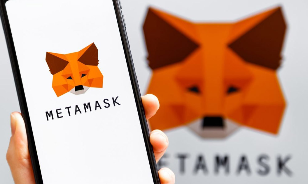 Metamask Wallet Support Number